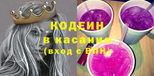 индика Волосово