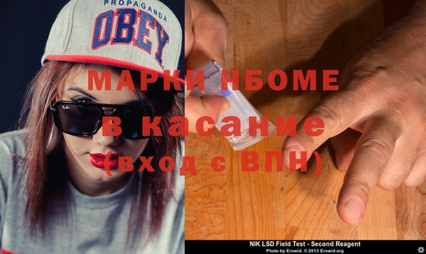 индика Волосово