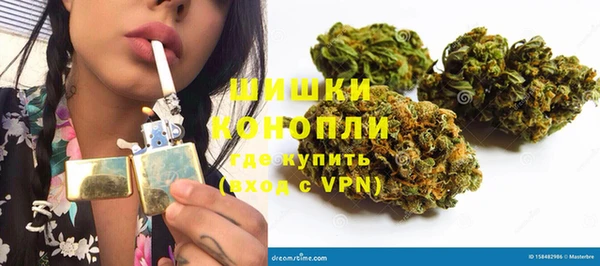 индика Волосово