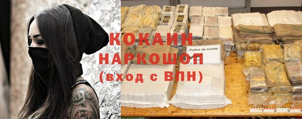 индика Волосово