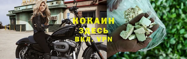 индика Волосово