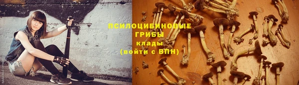 гашик Волоколамск