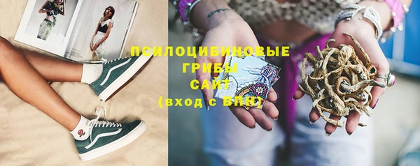 индика Волосово